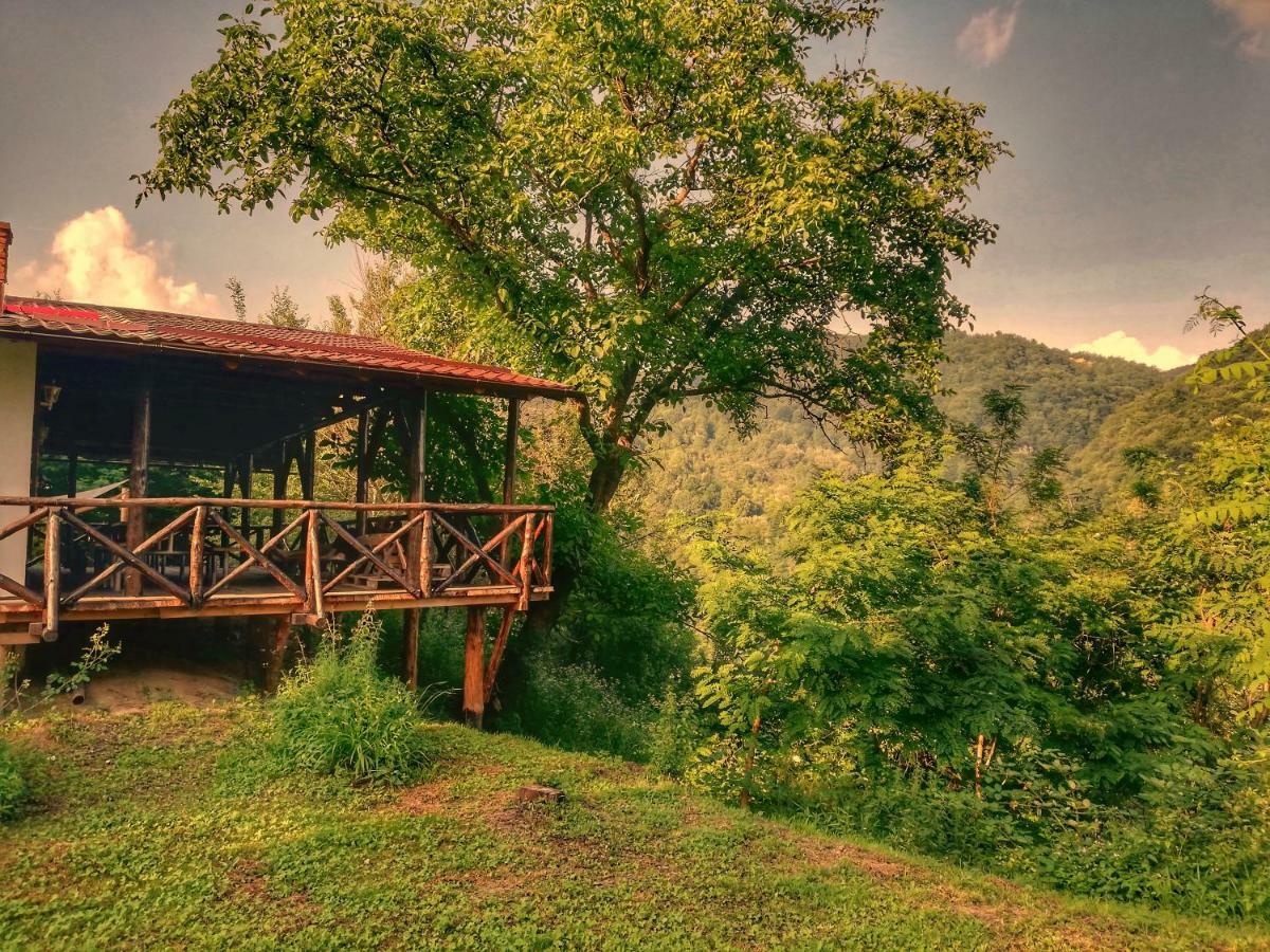 Отель Cabana Rasarit De Soare Galesu Экстерьер фото